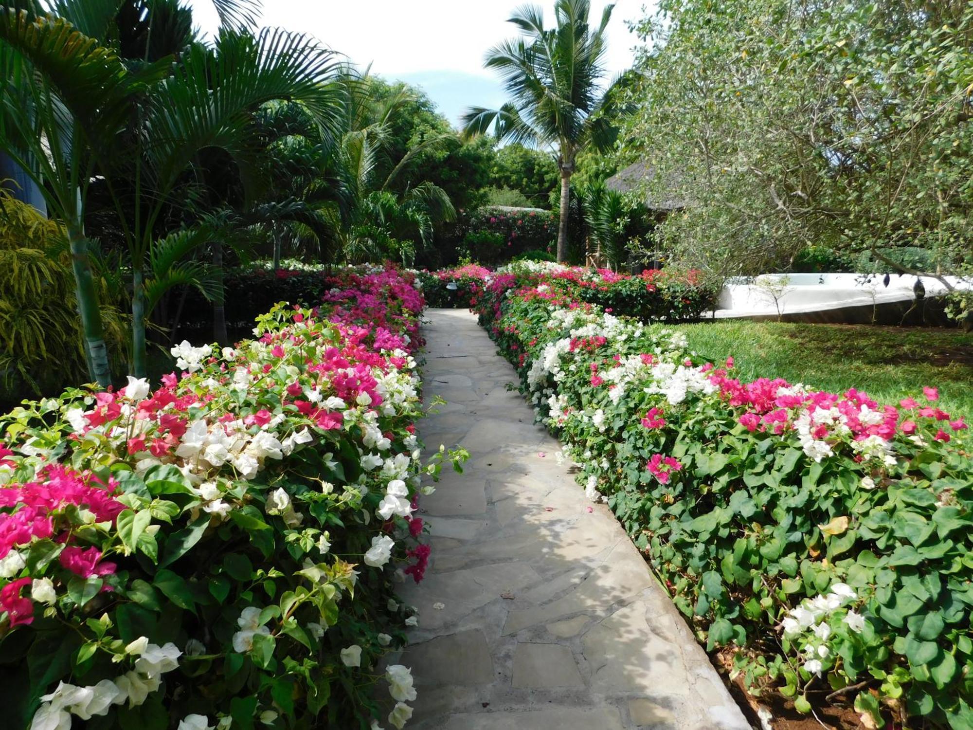 Dama Villa Watamu Exterior foto